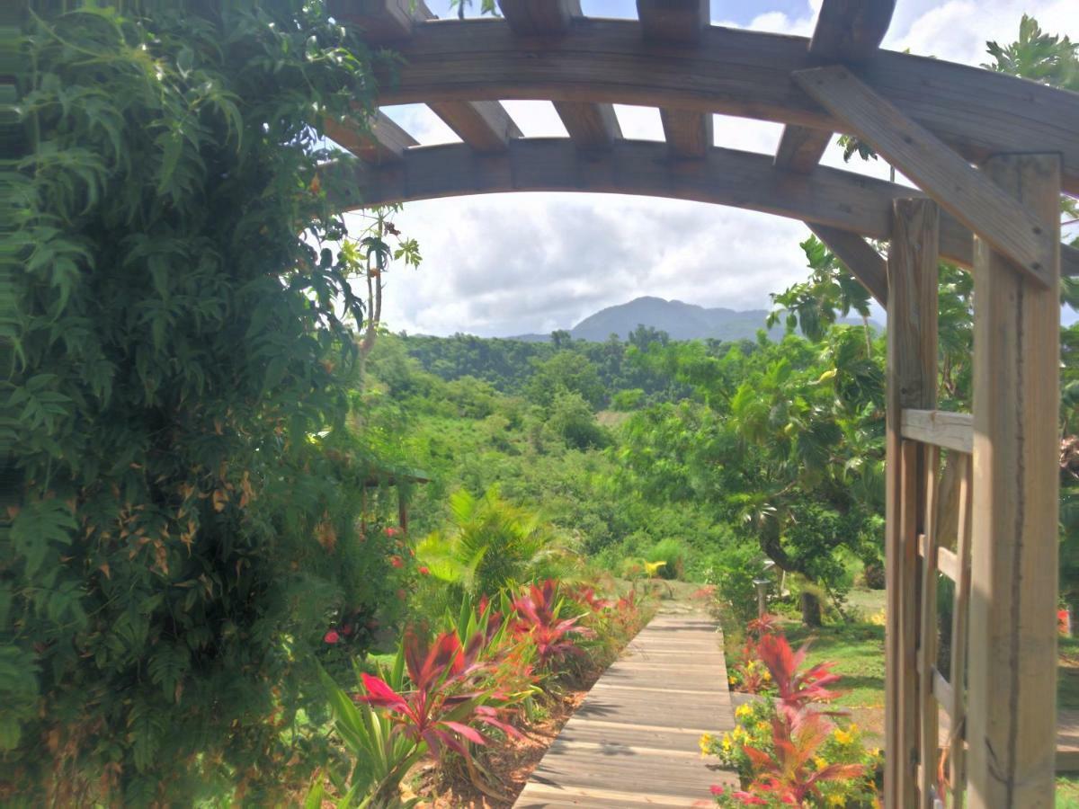 Residence Paradis Tropical บาส-แตร์ ภายนอก รูปภาพ