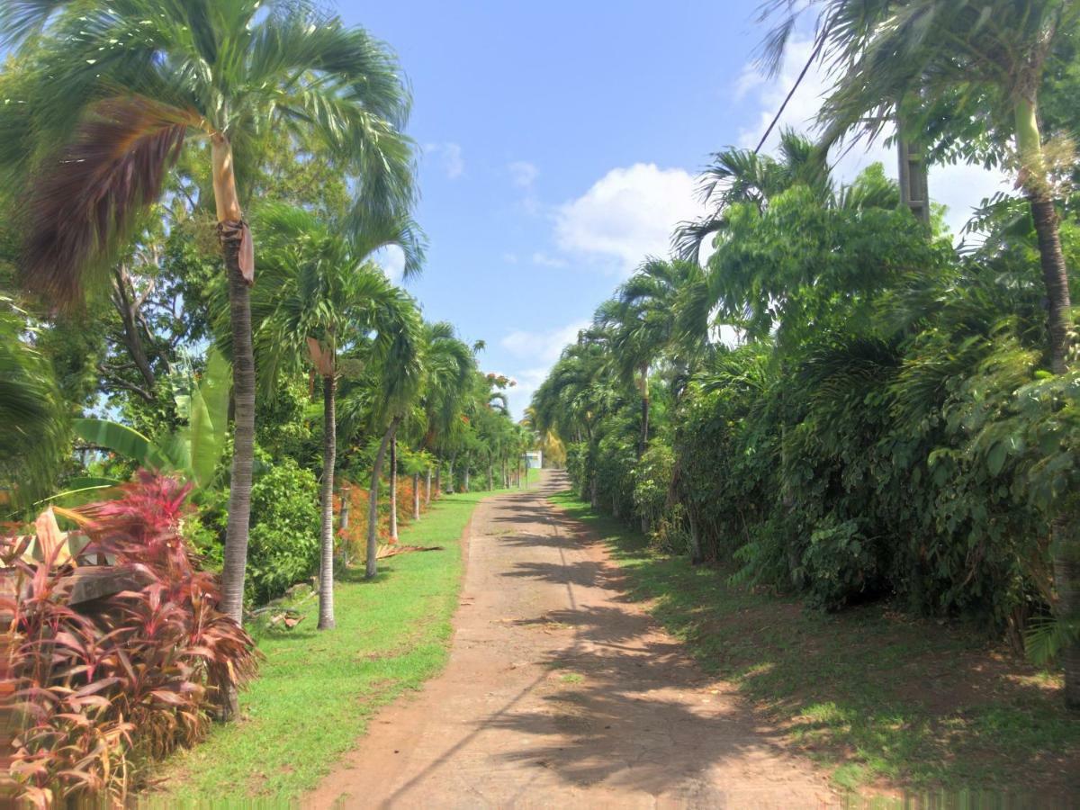 Residence Paradis Tropical บาส-แตร์ ภายนอก รูปภาพ