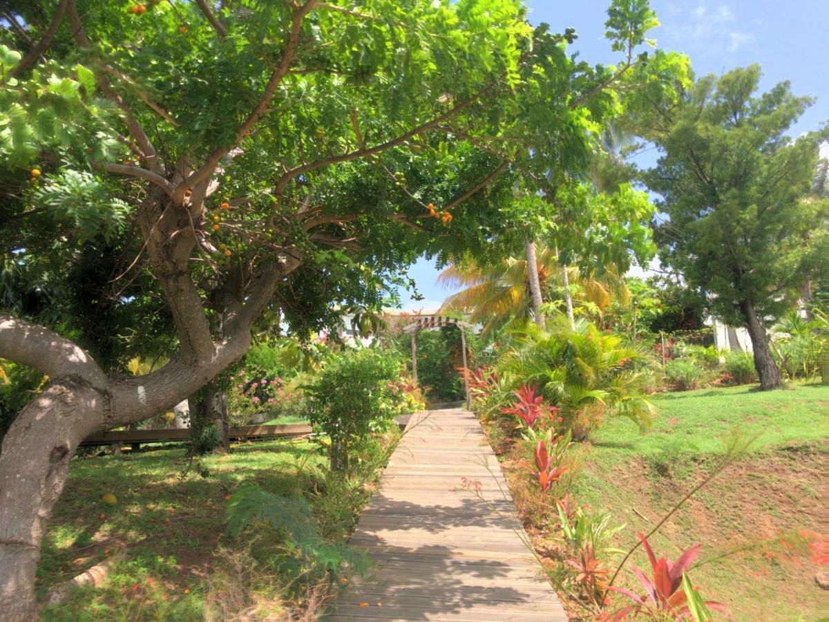 Residence Paradis Tropical บาส-แตร์ ภายนอก รูปภาพ